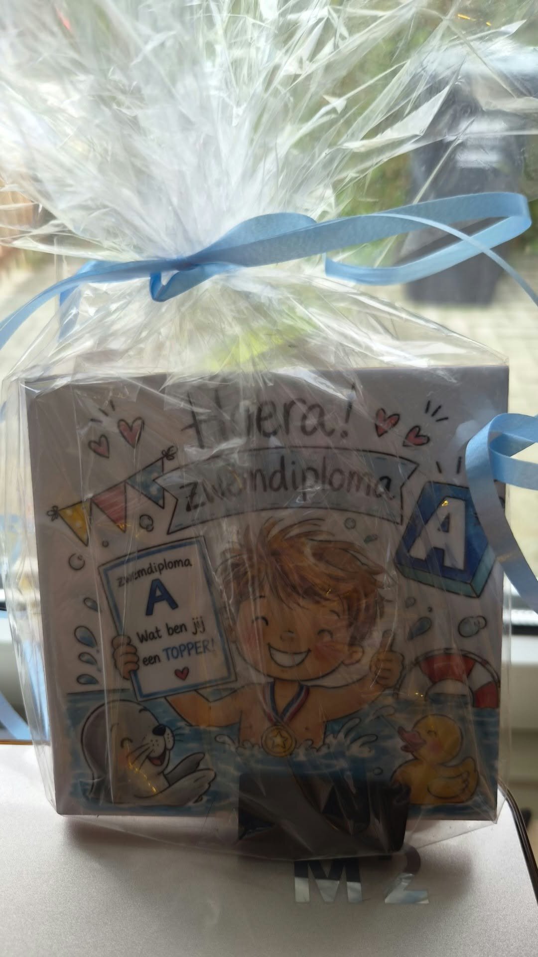 zwemdiploma